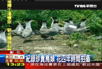 睽違137年 馬祖驚見「神話之鳥」