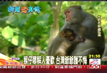 【新聞念真情】猴仔哪解人憂歡　台灣爺爺護不悔