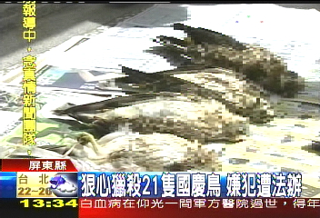一隻上千? 嫌犯獵殺國慶鳥遭法辦