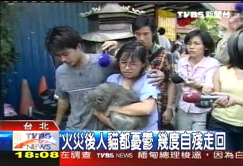 浴火重生　大囍市救貓女走過傷痛