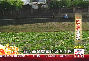 【一步一腳印】為生態盡份心 台北赤蛙守護神-阿石伯 (下)