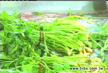 新菜王!香菜每公斤720元創天價