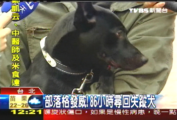 部落格發威 86小時尋回失蹤犬