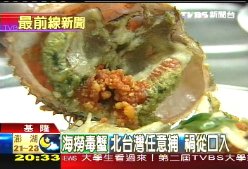 饕客小心毒蟹！　咬一口就致命
