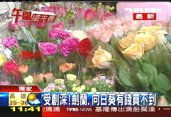 〈獨家〉就像菜價花價也飆 玫瑰貴1倍