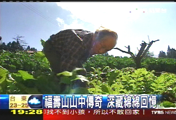 【新聞念真情】福壽山山中傳奇　深藏綿綿回憶