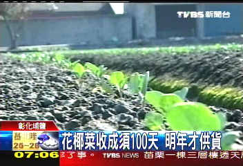 蔬菜復耕2個月 明年初才解菜荒