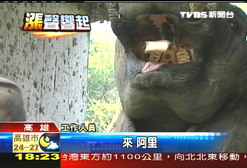 菜價飆!廠商標單漲5成 園方頭大