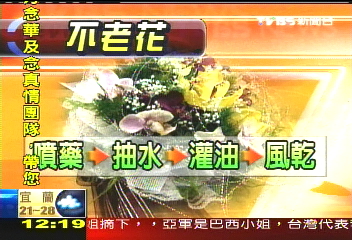 「不老花」台灣發明　10年不凋謝