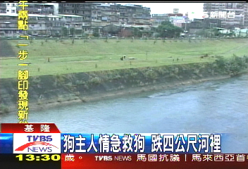 狗狗太興奮 追白鷺鷥跌進基隆河