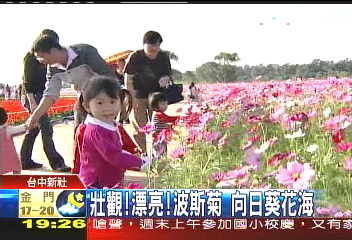 波斯菊向日葵花海,聯絡方式?