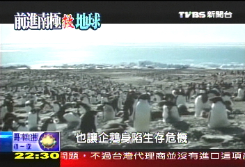 【搶救地球‧紐西蘭取經】全世界最小藍企鵝　搶救大作戰