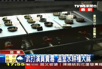 武打演員賣毒　溫室水耕種大麻