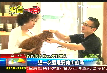 【消費一把罩】帶狗寵物一起美髮　愛狗店長首創
