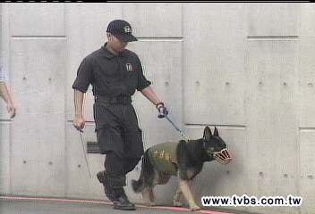 〈獨家〉造勢場汽笛吵 嚇跑百萬偵爆犬