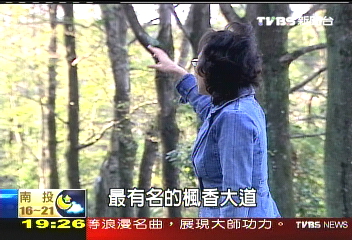 【新聞念真情】為一片綠蔭　戲劇化爭存留結善果