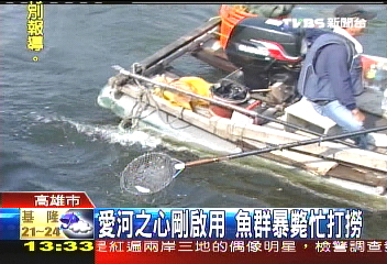 愛河之心剛啟用 魚群暴斃忙打撈