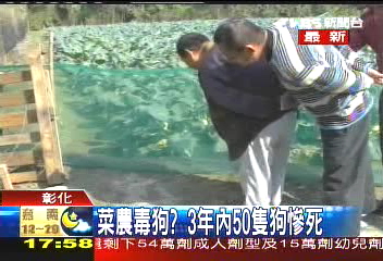 菜農毒狗？　3年內50隻狗慘死