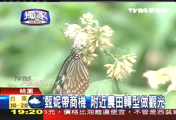 甄妮商機,農田轉型做觀光,業者?