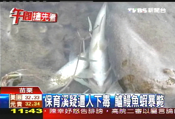 保育溪疑遭人下毒　鱸鰻魚蝦暴斃