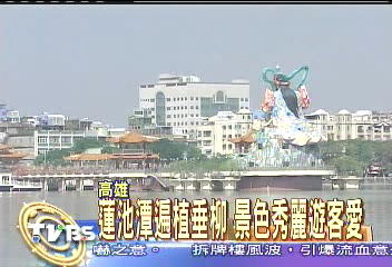 蓮池潭遍植垂柳　景色秀麗遊客愛