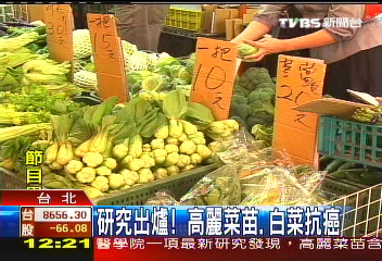 研究出爐！　高麗菜苗、白菜抗癌