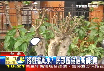 路樹擋風水？　民眾擅鋸最高罰5萬
