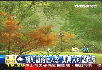 【新聞念真情】楓紅斷路使人愁　奧萬大可望難及