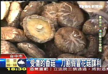 食在不安/暖冬菇價大漲 走私假菇賺暴利