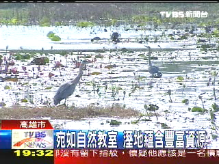 高雄市溼地園區 兼顧保育和觀光