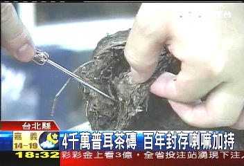 4千萬普洱茶磚　百年封存喇嘛加持