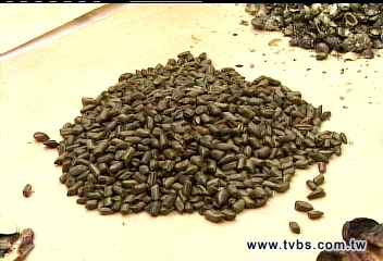 亂喝消脂茶　男子連瀉2天