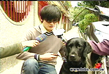 撞導盲犬肇逃　警追查飛車女駕駛