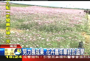 努力展成果　花卉嘉年華終於盛開