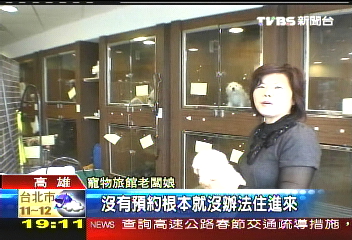 主人年假忙出國　寵物旅館大爆滿