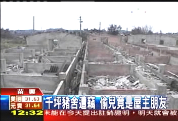 千坪豬舍遭竊 偷兒竟是屋主朋友
