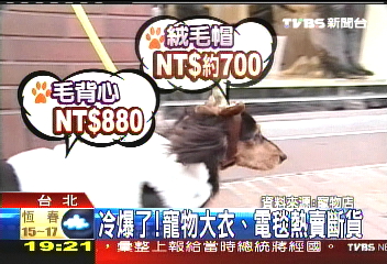 冷爆了！　寵物大衣、電毯熱賣斷貨