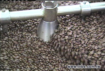 烘培咖啡豆悄漲　每公斤貴100元