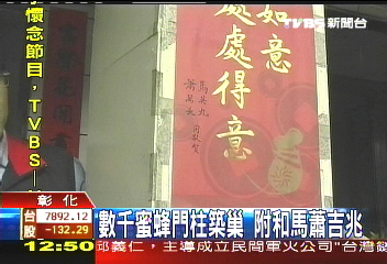 數千蜜蜂門柱築巢 附和馬蕭吉兆