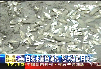 自來水庫魚凍死 恐污染飲用水