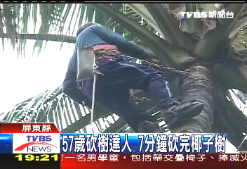 57歲砍樹達人 7分鐘砍完椰子樹
