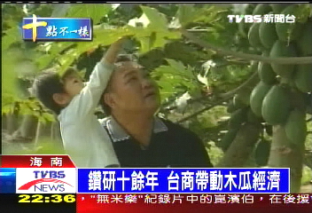 鑽研十餘年 台商帶動木瓜經濟