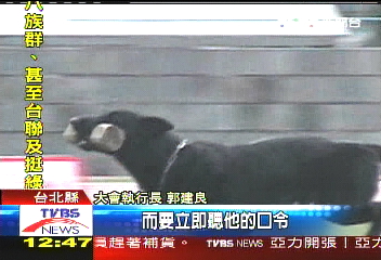 亞洲盃警犬賽　台日港狼犬互較勁