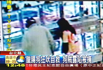臘腸狗狂吠自救 狗賊露陷被捕