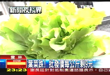 葉菜跌! 批發價每公斤剩9元