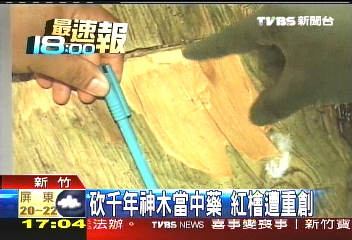神木削治病? 中醫:無效還犯法