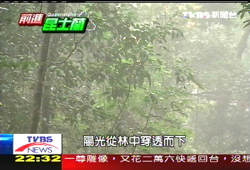 【前進澳洲】前進澳洲雨林 昆士蘭第二金雞母