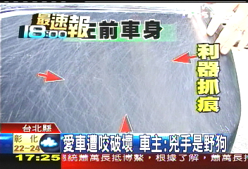〈獨家〉愛車遭咬破壞　車主：兇手是野狗