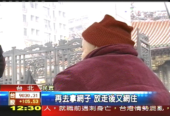 廟前賣斑鳩放生　每隻100利潤驚人