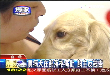 〈獨家〉買病犬在部落格痛批 飼主反被告